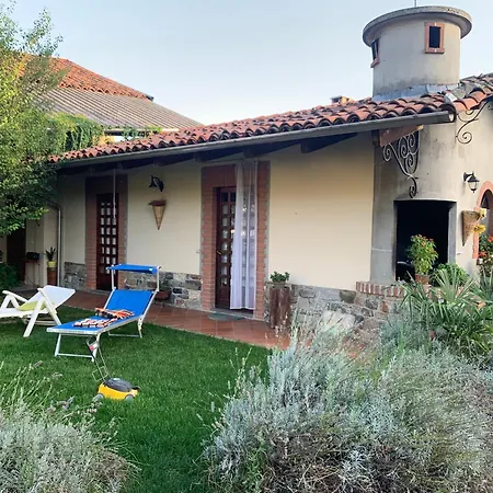Bouganville-3